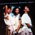 POINTER SISTERS - break out