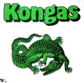 KONGAS - kongas