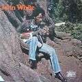 JOHN WHITE - john white