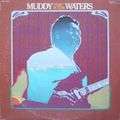 MUDDY WATERS - unk in funk