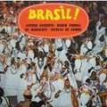 VARIOUS - brasil !
