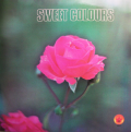 JANKO NILOVIC - sweet colours