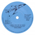 STEVE JONES - i need you by my side
