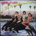 SHALAMAR - big fun