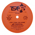 MEL SHEPPARD - can i take you home