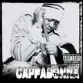 CAPPADONNA - the pillage
