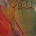 DAVID SANBORN - voyeur