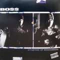 BOSS - progress of elimination
