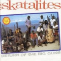 SKATELITES - return of the big guns