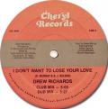 DREW RICHARDS - i don't want to lose your love