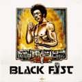 V.A. - black fist