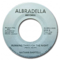 NATHAN BARTELL - some one like you / runnig throught the night