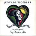 STEVIE WONDER - keep our love alive / instrumental