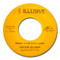 CENTRAL ILLUSION - shake your body down