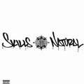 GANG STARR (DJ PREMIER & GURU) - skills / the natural