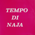 REMIGIO DUCROS - tempo di naja