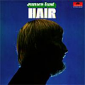 JAMES LAST - hair