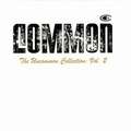COMMON - the uncommon collection: vol. 2