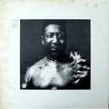MUDDY WATERS - after the rain