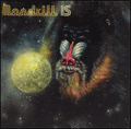 MANDRILL - mandrill is