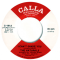 NATURALS - i can't share you/ young generation