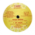 T. SKI VALLEY - sexual rapping / sexual instrumental