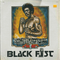 VARIOUS ARTISTS - black fist