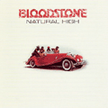BLOODSTONE - natural high