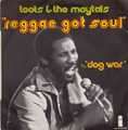 TOOTS AND THE MAYTALS - reggae got soul
