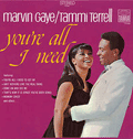 MARVIN GAYE - you're all i need