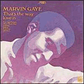 MARVIN GAYE - that's the way love is