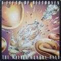 WALTER MURPHY BAND - a fith of beethoven