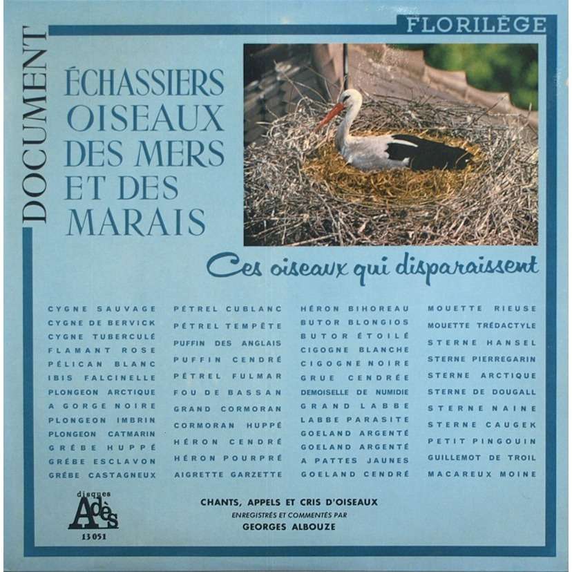 Ces Oiseaux Qui Disparaissent échassiers Oiseaux Des Mers Et Des Marais