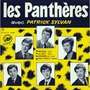 les pantheres reviens