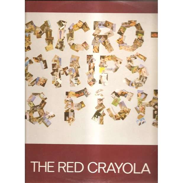  micro-chips and fish 