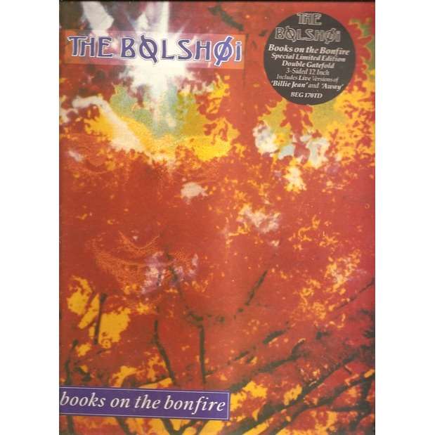  books on the bonfire 