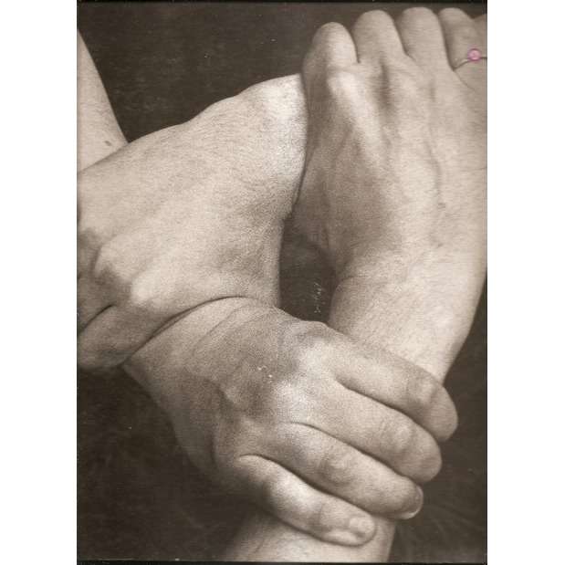  rise to the occasion 