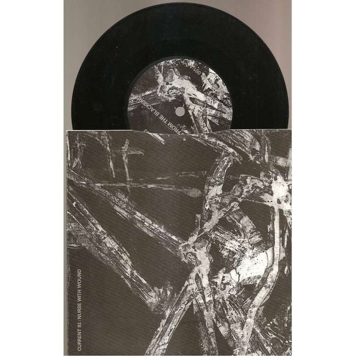  no hiding from the blackbird 