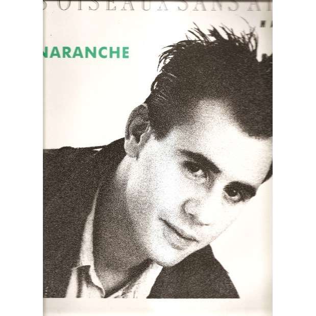  les oiseaux sans ailes 